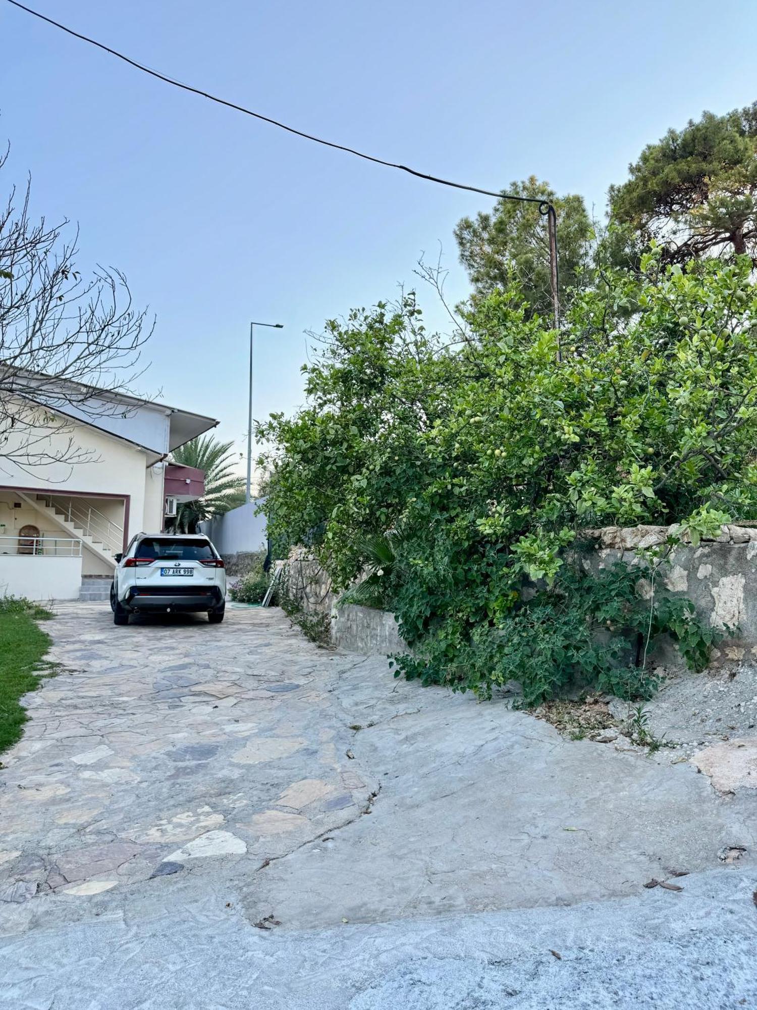 Rose Hotel B&B Patara Kültér fotó