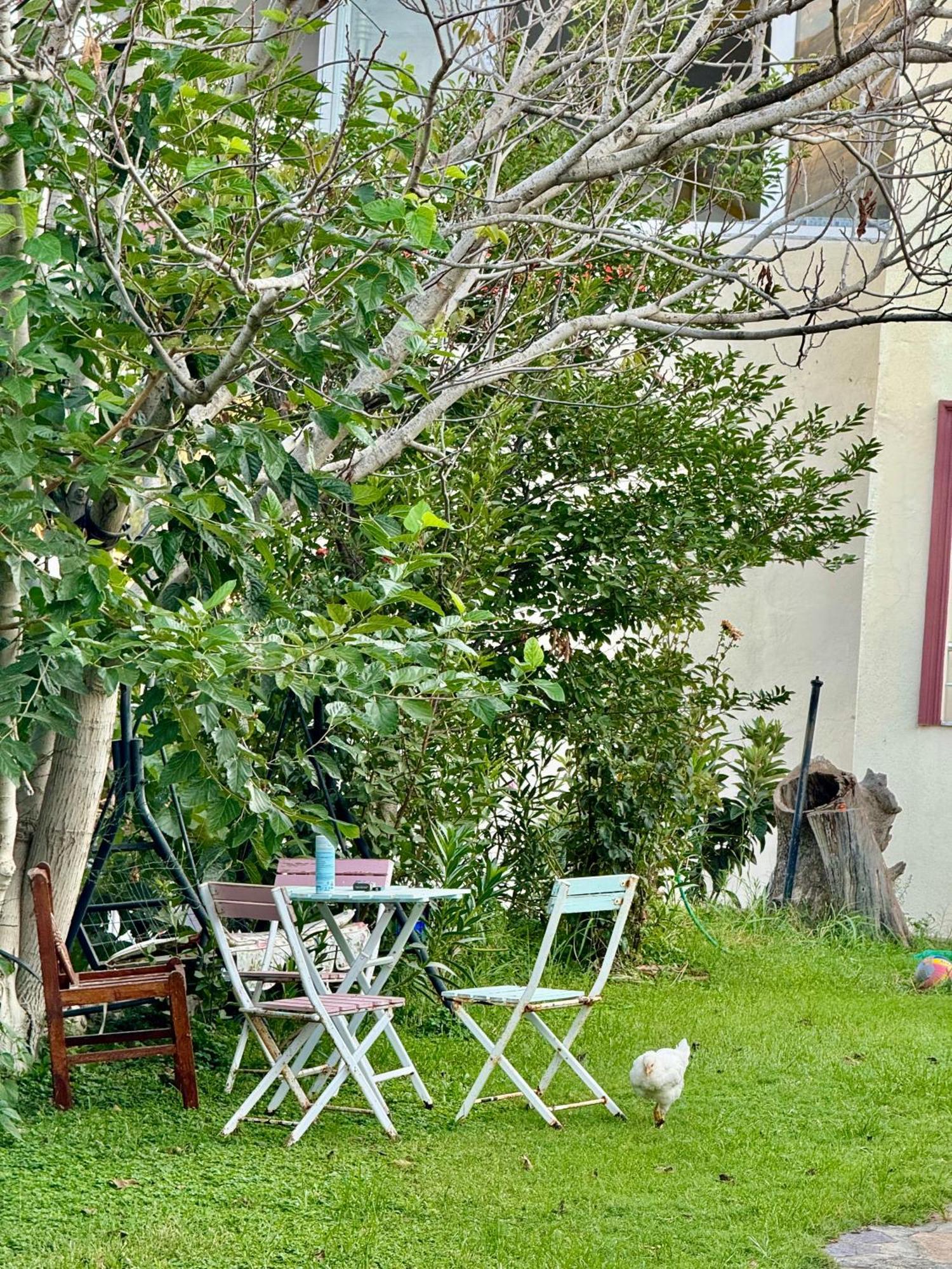 Rose Hotel B&B Patara Kültér fotó