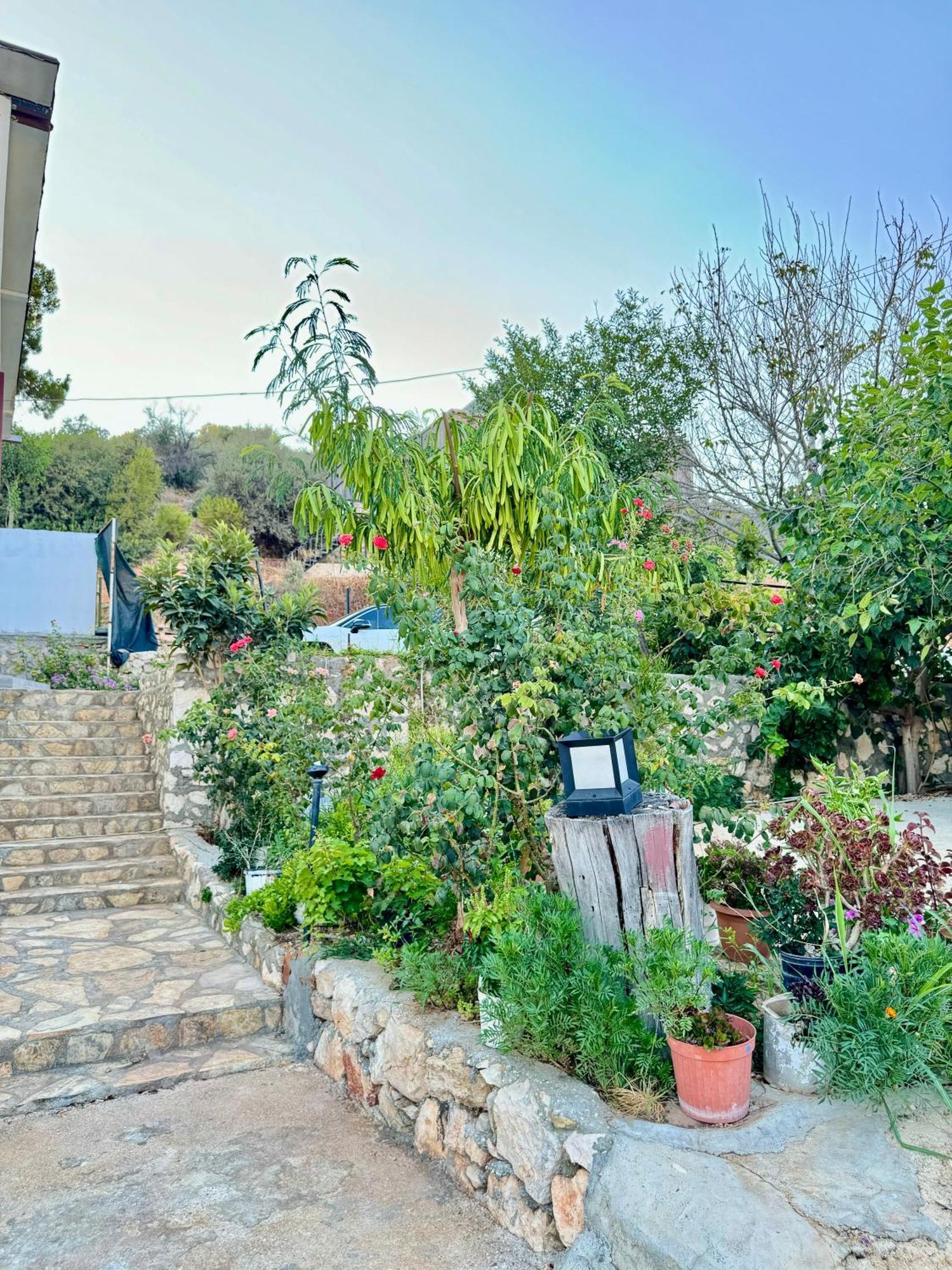 Rose Hotel B&B Patara Kültér fotó