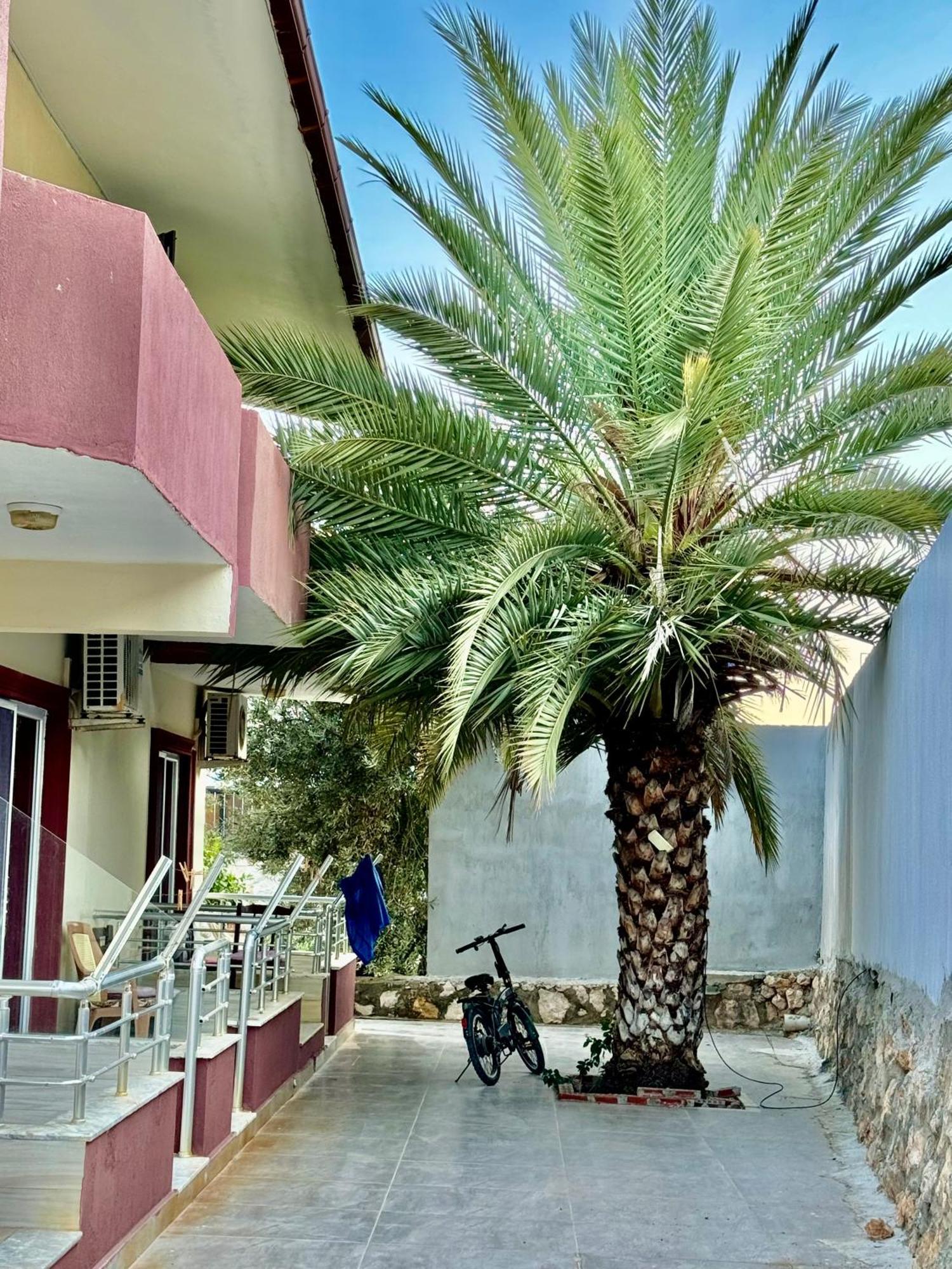 Rose Hotel B&B Patara Kültér fotó