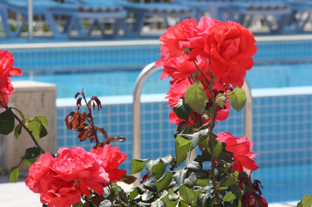 Rose Hotel B&B Patara Kültér fotó
